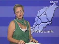 Vasi Mozaik - 2011. július 1. Vasi Mozaik - 2011. július 1.