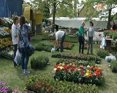 Minden eddiginél több kertészet mutatkozott be a Herényi Virágúton Minden eddiginél több kertészet mutatkozott be a Herényi Virágúton