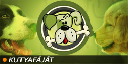 Kutyaf�j�t