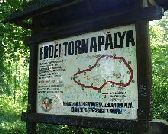 Megsz�nt a tornap�lya a parkerd�ben