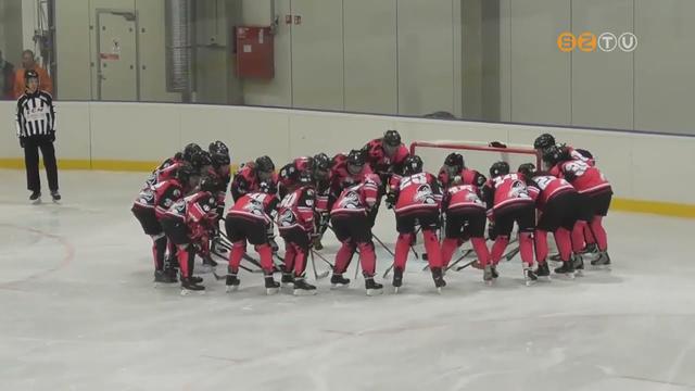 A Szombathelyi PINKvinek számára a hazai veretlenség megőrzése volt a tét a Tatabányai Polipok ellen A Szombathelyi PINKvinek számára a hazai veretlenség megőrzése volt a tét a Tatabányai Polipok ellen