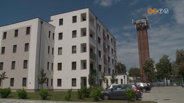 Jövő héten megérkeznek az elsőévesek az ELTE Savaria Egyetemi Központba Jövő héten megérkeznek az elsőévesek az ELTE Savaria Egyetemi Központba