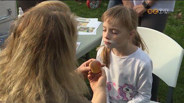 Először rendeztek családi napot a Stromfeld-lakótelepen Először rendeztek családi napot a Stromfeld-lakótelepen