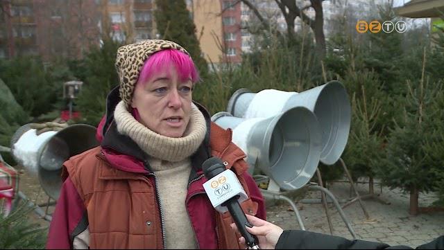 Tavalyhoz képest nem, vagy alig változott a fenyő ára idén a környékünkön Tavalyhoz képest nem, vagy alig változott a fenyő ára idén a környékünkön