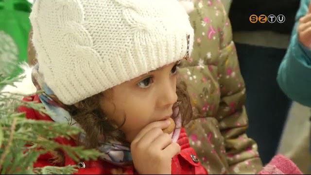 Elfeledett zek, sznek, illatok