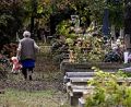 A tolvajok is meglátogatják a temetőket A tolvajok is meglátogatják a temetőket