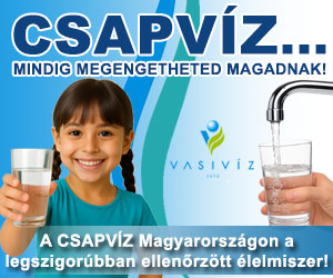 Vasiv�z