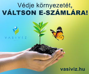 Vasiv�z