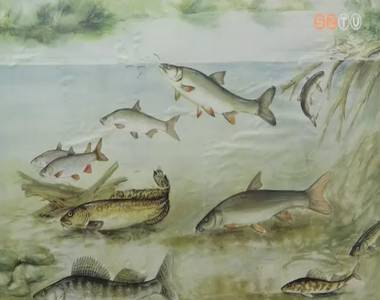 A balin lett a 2018-as �v hala