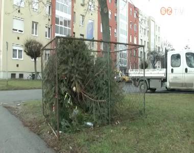 Kikerültek a fenyőgyűjtő konténerek a városban Kikerültek a fenyőgyűjtő konténerek a városban