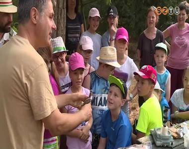 A r�g�ta tart� nagy meleg megviseli a madarakat is