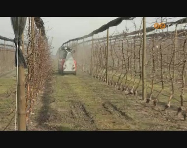 Nem okozott nagy k�rokat a gy�m�lcs�s�kben a t�l