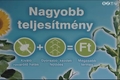 Növényvédelmi tájékoztató