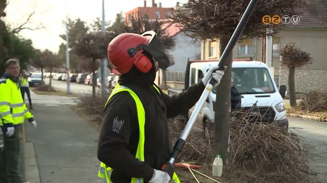 Mozgalmasan telnek a tél utolsó hetei a parkfenntartó munkatársai számára Mozgalmasan telnek a tél utolsó hetei a parkfenntartó munkatársai számára