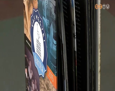 Vas Megyei �rt�knap