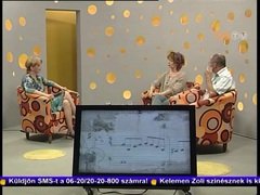 Műhely - 2013. augusztus 13.