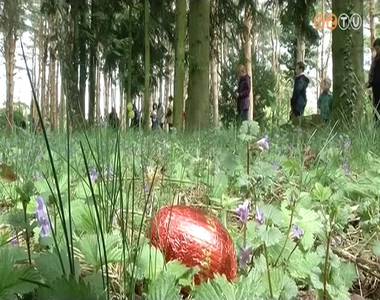 H�sv�ti civil programok