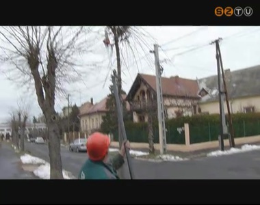 K�zel �tezer f�t metszenek meg febru�rban a Szom-Park munkat�rsai