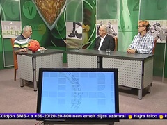 Aréna - 2014. szeptember 8.