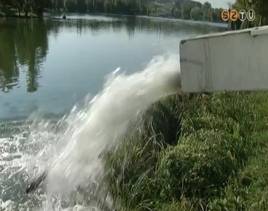 Több mint 6 és fél tonna hal került a vasi és zalai vizekbe Több mint 6 és fél tonna hal került a vasi és zalai vizekbe