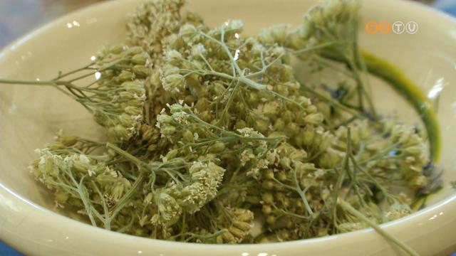 2022-ben a cickafark lett az év gyógynövénye 2022-ben a cickafark lett az év gyógynövénye