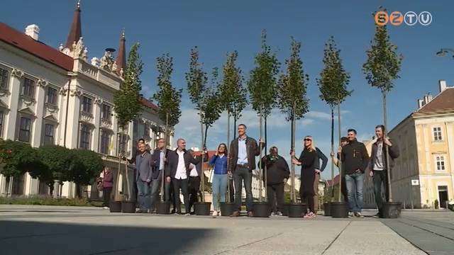 Zöldebbnek szeretné látni a jövő városát az Éljen Szombathely Zöldebbnek szeretné látni a jövő városát az Éljen Szombathely