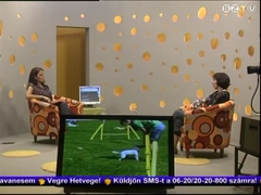 Hétvége - 2011. április 1.