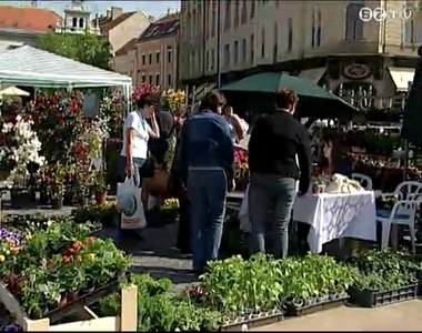 Virággal szépítők Virággal szépítők