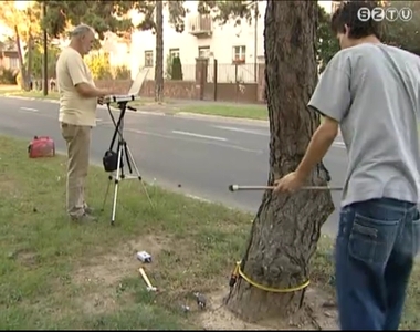 A f�k eg�szs�g�gyi �llapot�t vizsg�lj�k