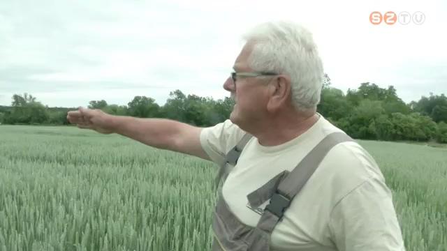 Szárazság a földeken Szárazság a földeken