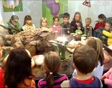 Ragadozókról tanulni játékosan