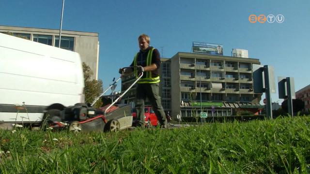 Az ősz a SZOMPARK dolgozóinak is jócskán ad munkát Az ősz a SZOMPARK dolgozóinak is jócskán ad munkát