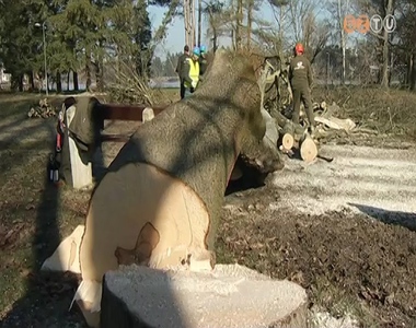 Jav�ban tart a fav�g�s �s a metsz�s szezonja