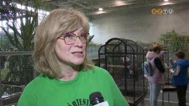 Háromnapos díszmadár-kiállítást szerveztek az Oladi Technikum csarnokában Háromnapos díszmadár-kiállítást szerveztek az Oladi Technikum csarnokában