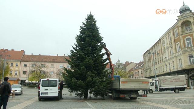 Gyöngyösfaluból érkezett idén a város karácsonyfája Gyöngyösfaluból érkezett idén a város karácsonyfája