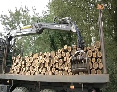 Olcs�bb a t�zifa