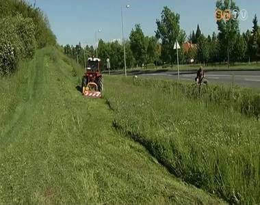 �jra ny�rj�k a f�vet a v�rosban a Szompark munkat�rsai