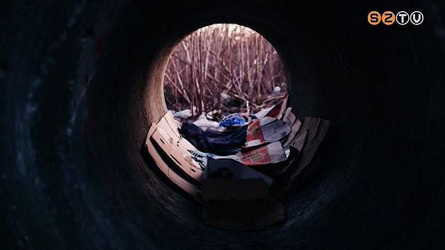 A mintegy k�tsz�z fed�l n�lk�li k�z�l h�rom-n�gy v�lasztja most is az utc�t