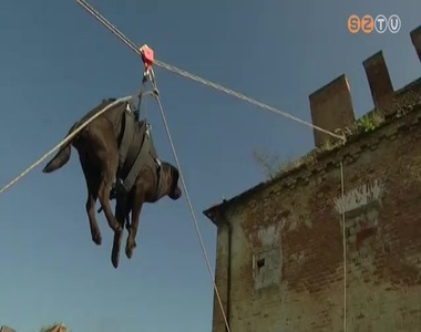 Közös mentő-katasztrófavédő gyakorlat Közös mentő-katasztrófavédő gyakorlat