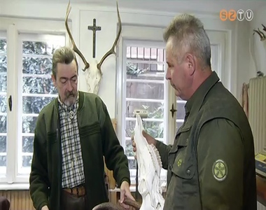 Nagy�zem van a Vas Megyei Korm�nyhivatal Erd�gazd�lkod�si F�oszt�ly�n