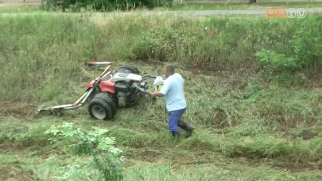 Kaszálják a patakpartokat Kaszálják a patakpartokat
