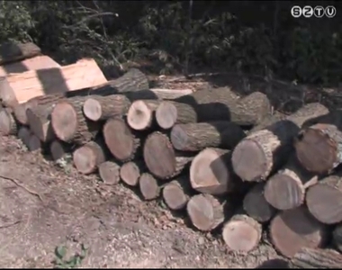 Sokan v�s�rolnak t�zif�t