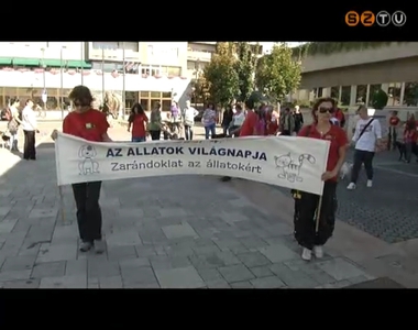 Zarándokutak Szombathelyen kutyákkal és macskákkal Zarándokutak Szombathelyen kutyákkal és macskákkal
