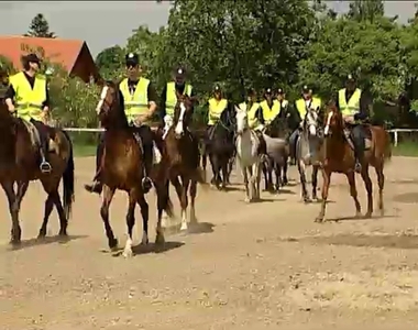 Lóhátról védenek Lóhátról védenek