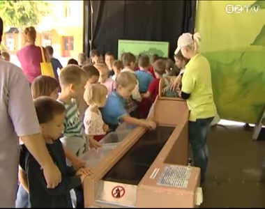 �kokamion j�rt Szombathelyen