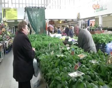 Piaci körkép Piaci körkép