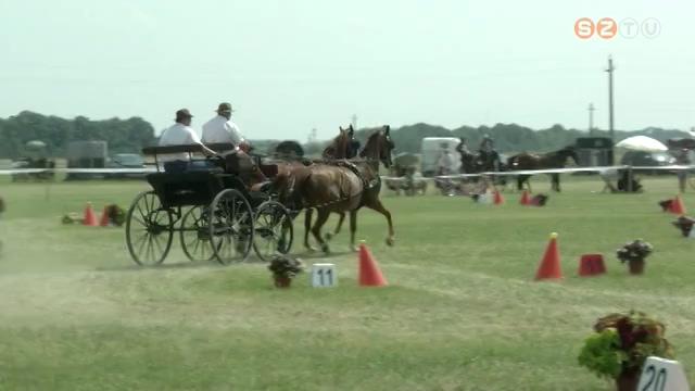 Az arats ellenre is kt tucatnyian vettek rszt a 15. Gencsapti Fogathajt versenyen