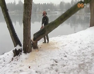 V�gj�k a f�kat a Cs�nak�z� t� sziget�n �s a s�t�l� �t ment�n