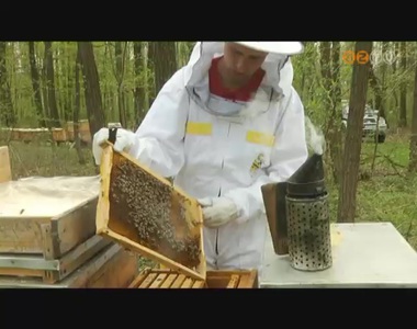 Nehezen indul a szezon a m�h�szeknek