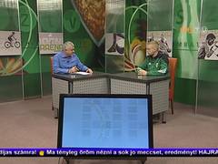 Aréna - 2016. február 29.